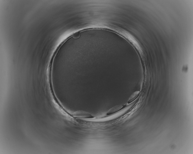 X0000097840958200803141205