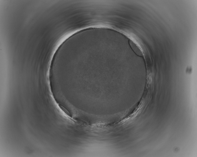 X0000097840959200803141205