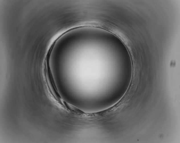 X0000097840960200803141205
