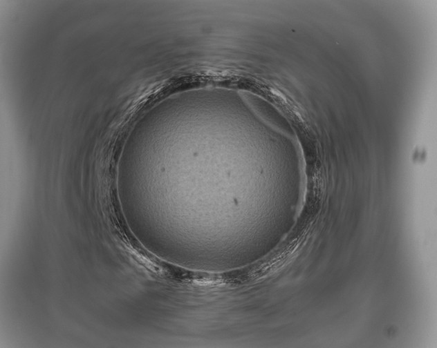 X0000097840961200803141204