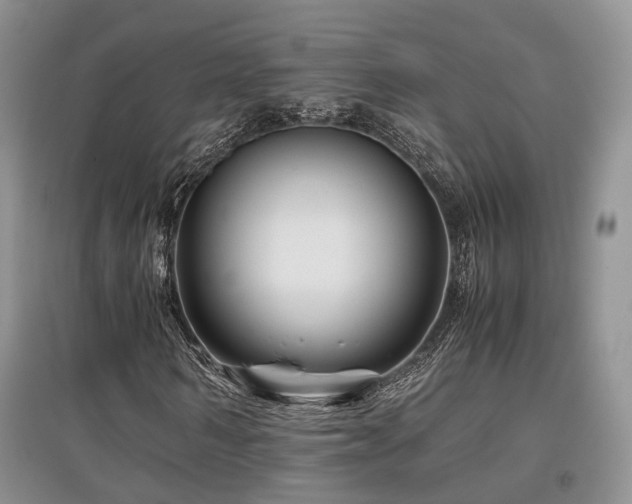 X0000097840962200803141204