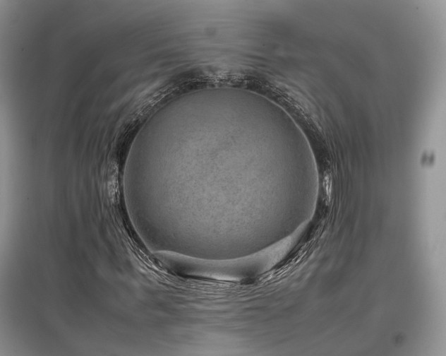 X0000097840963200803141204