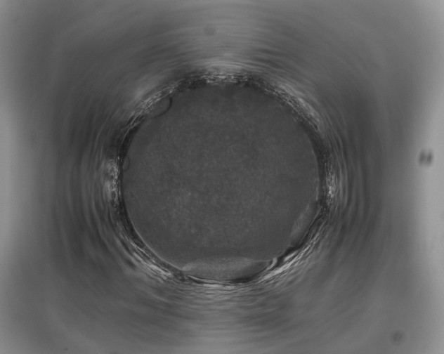 X0000097840964200803141204