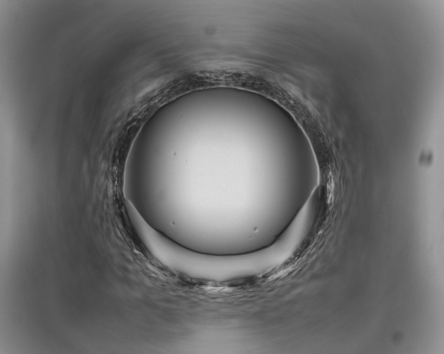 X0000097840965200803141204