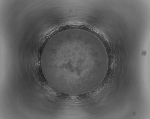 X0000097840966200803141204