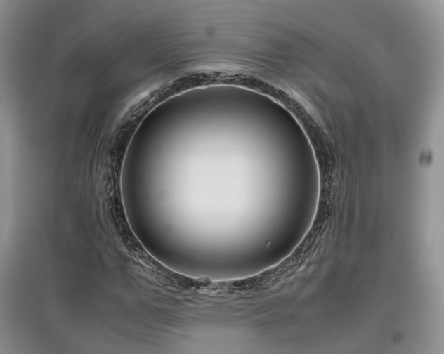 X0000097840967200803141204