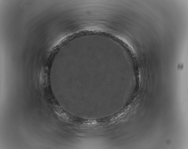 X0000097840968200803141204