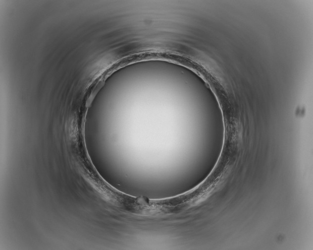 X0000097840969200803141204