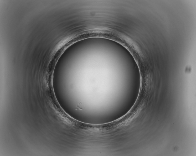 X0000097840970200803141204