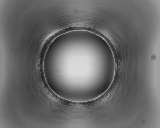 X0000097840971200803141204