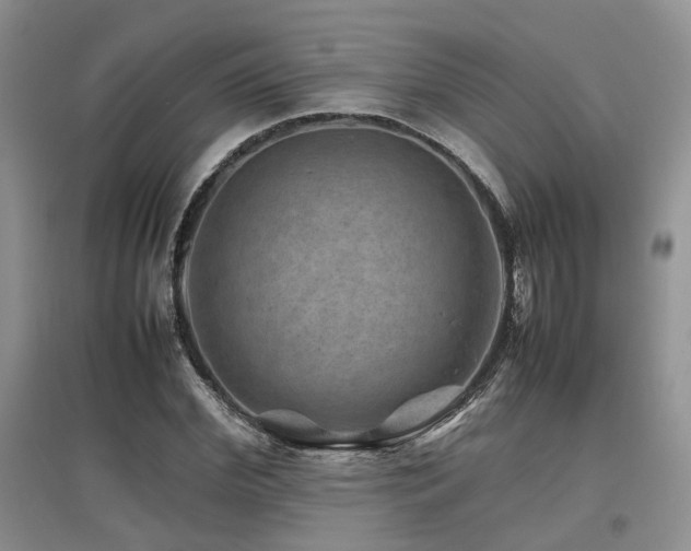 X0000097840972200803141204