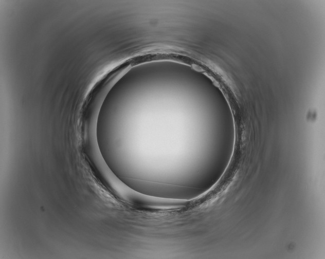 X0000097840973200803141204