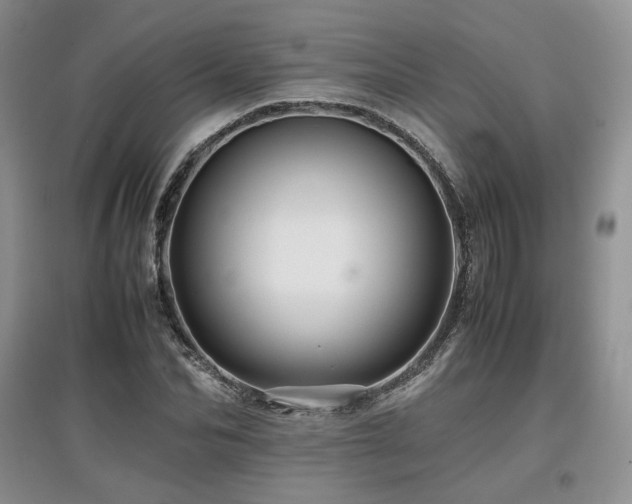 X0000097840974200803141204