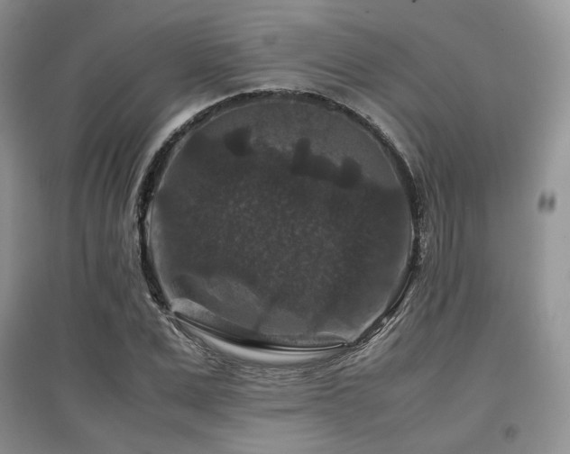 X0000097840975200803141204
