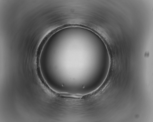 X0000097840976200803141204