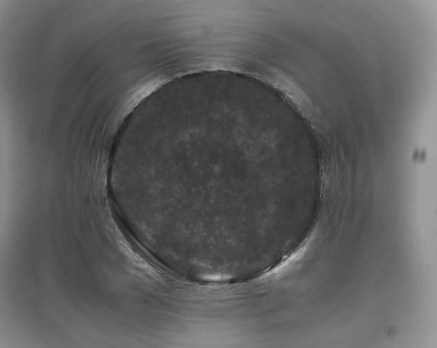 X0000097840977200803141204