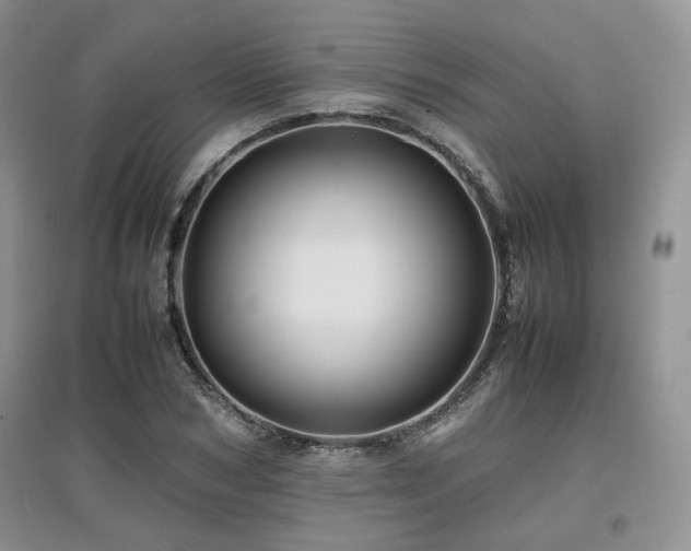 X0000097840978200803141204