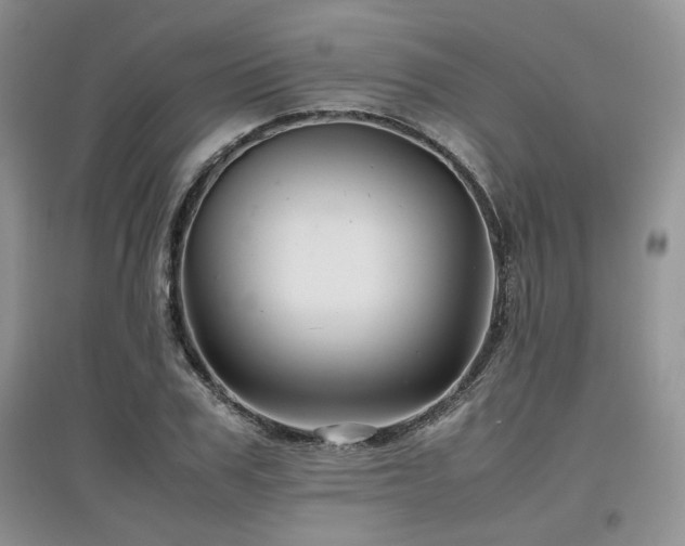 X0000097840979200803141204