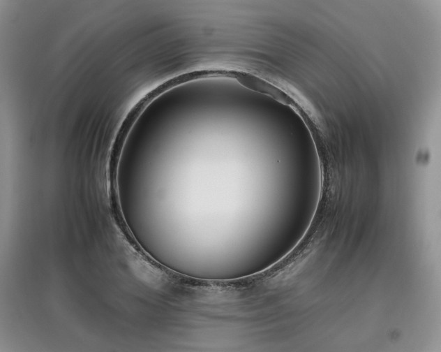 X0000097840980200803141204