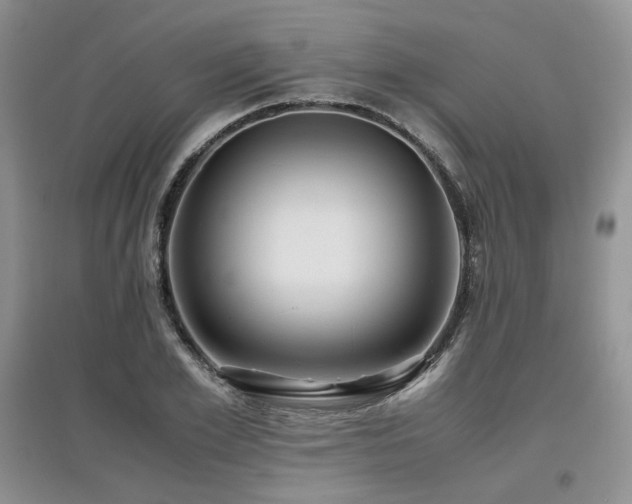 X0000097840981200803141204