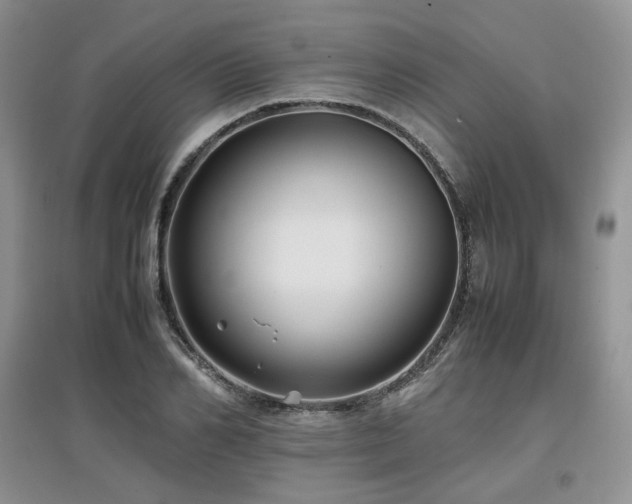 X0000097840982200803141204