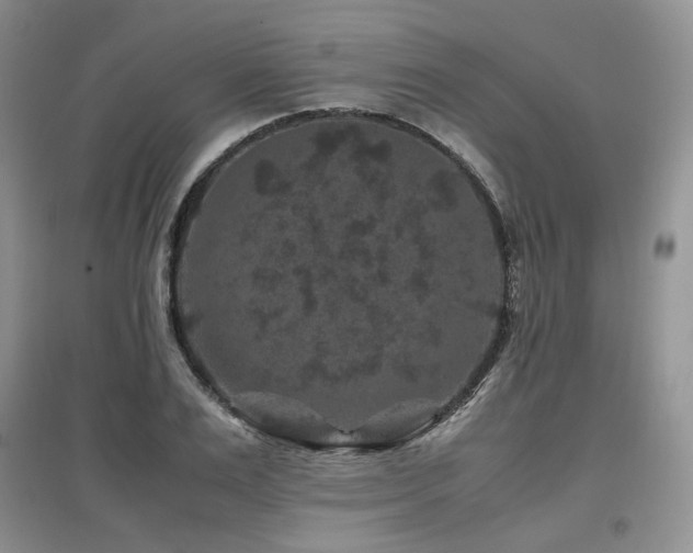 X0000097840983200803141204