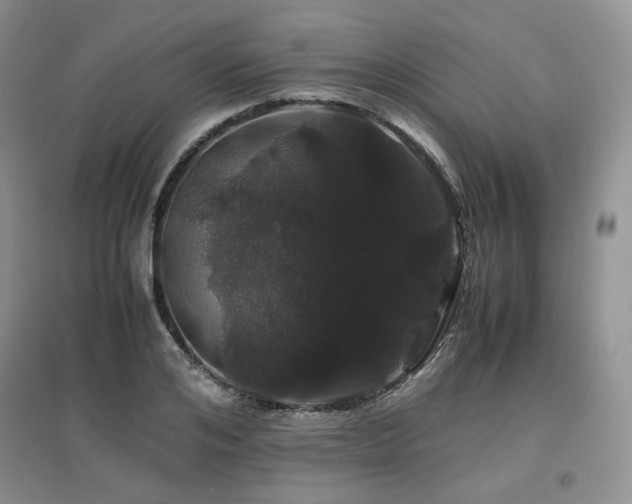 X0000097840984200803141204