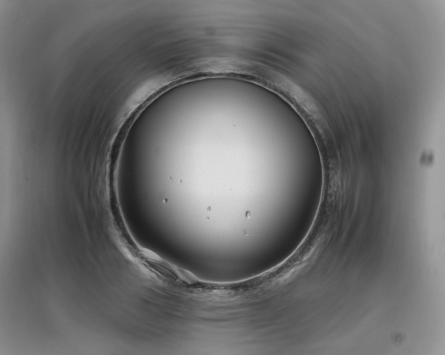 X0000097840986200803141204