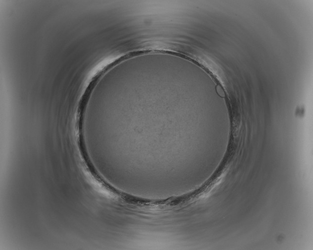 X0000097840987200803141204