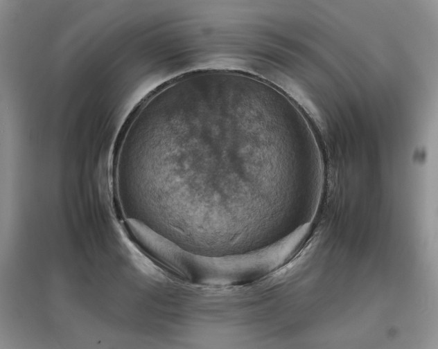 X0000097840988200803141204