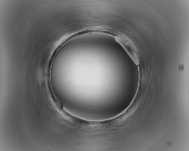 X0000097840989200803141204