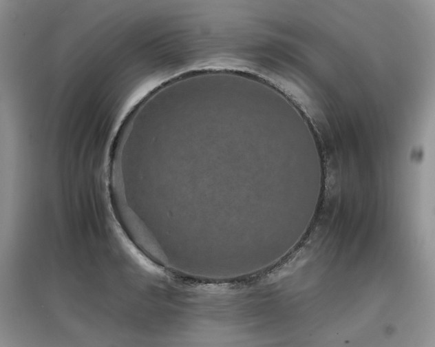 X0000097840990200803141204