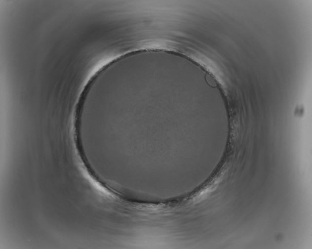 X0000097840991200803141204