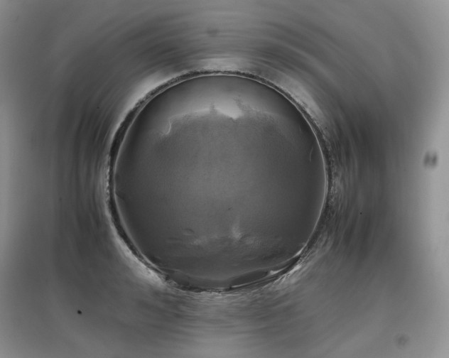 X0000097840992200803141204