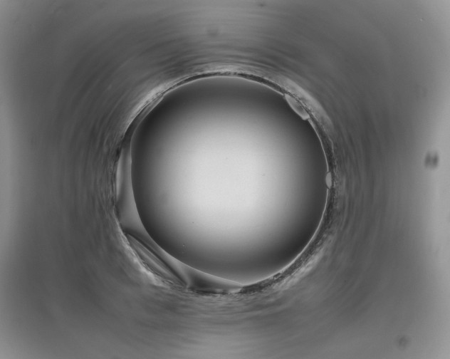 X0000097840993200803141204