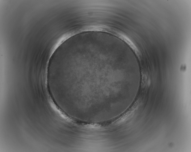 X0000097840994200803141204