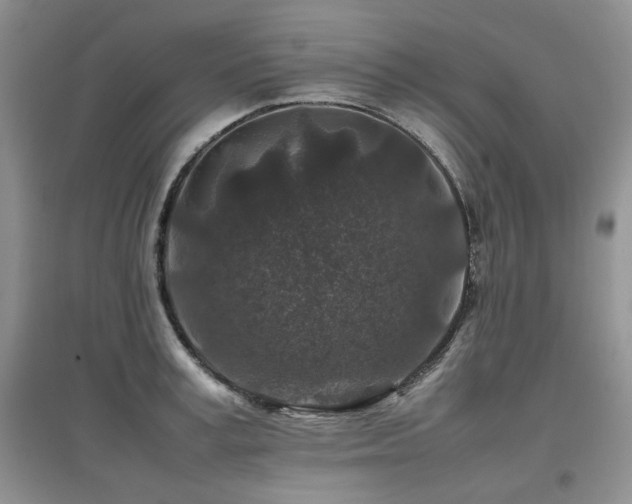 X0000097840995200803141204