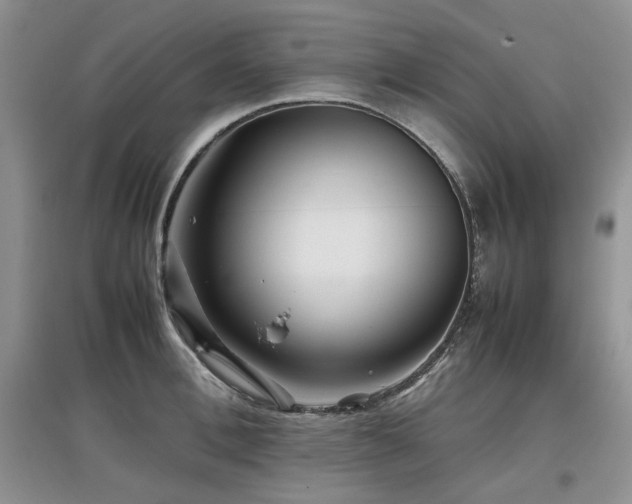 X0000097840996200803141204