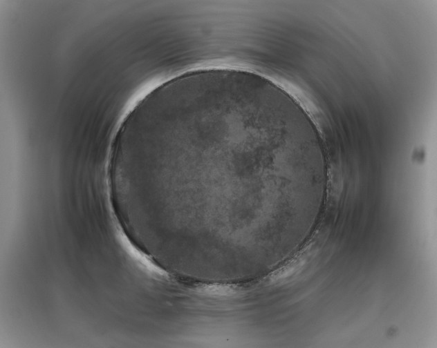 X0000097840998200803141204