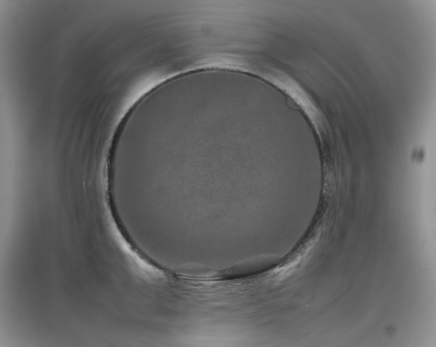 X0000097840999200803141204