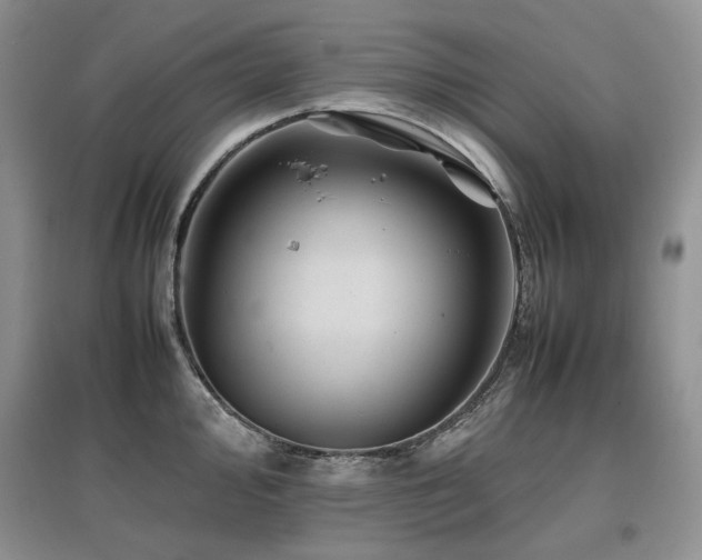 X0000097841000200803141204