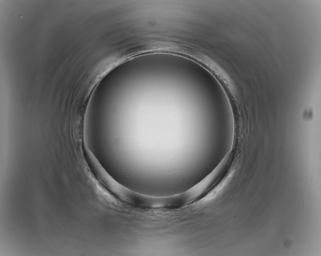 X0000097841001200803141204