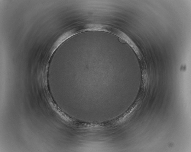 X0000097841002200803141204