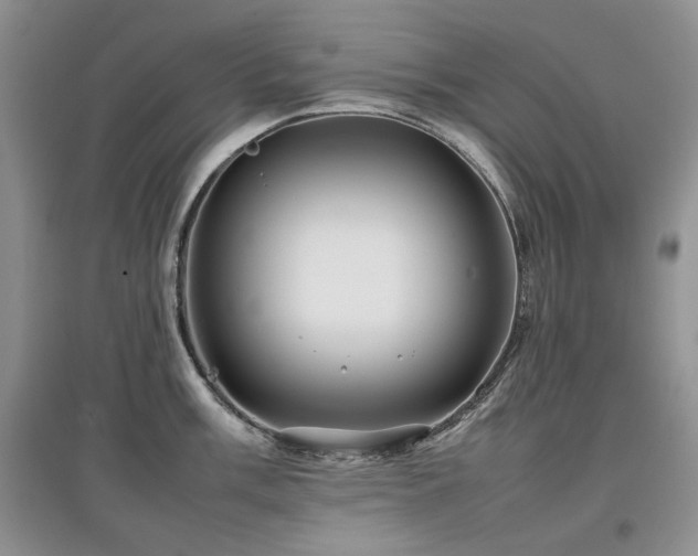 X0000097841003200803141204