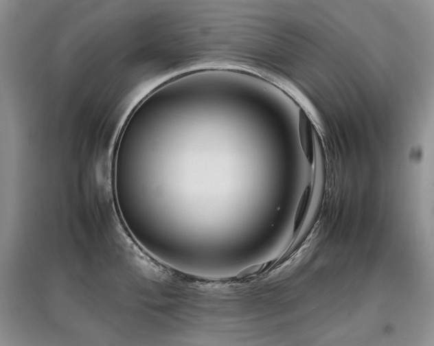 X0000097841004200803141204