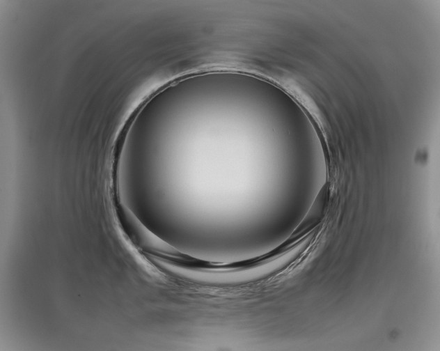 X0000097841005200803141204