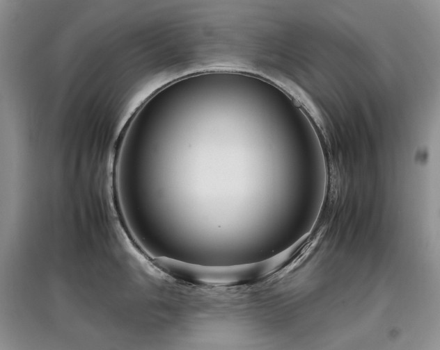 X0000097841006200803141204