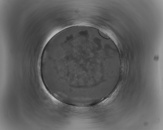 X0000097841007200803141204