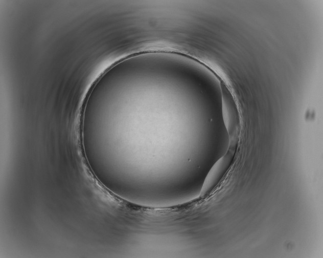 X0000097841008200803141204
