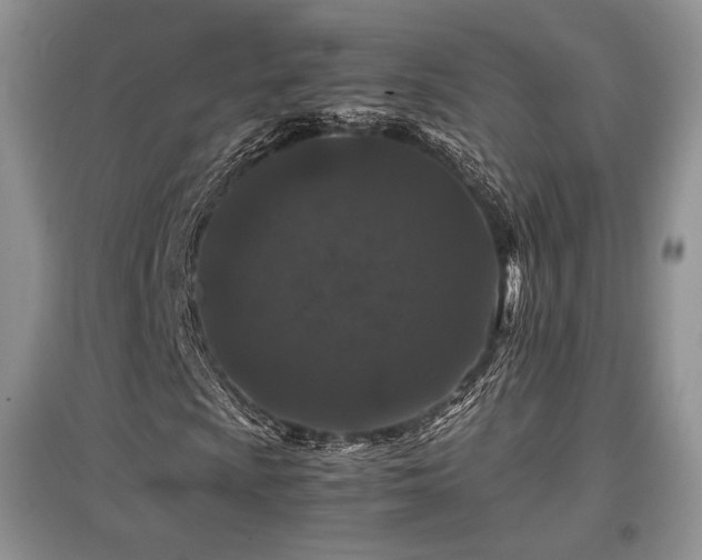 X0000097841009200803141203